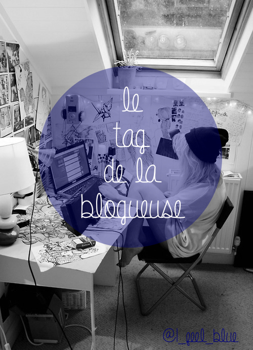 Quelle blogueuse êtes-vous ?