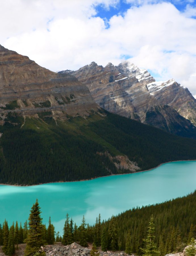 Peyto Lake : Une merveille des Rocheuses à ne pas manquer !