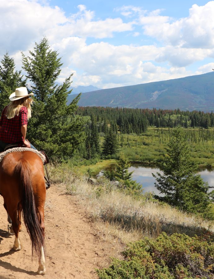 Randonnée à Cheval sur les Hauteurs de Jasper, AB