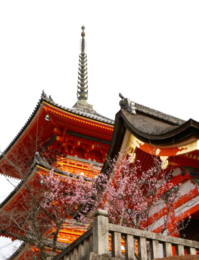 {Kyoto} Le Temple KIYOMIZUDERA & Un Joli Coup de Coeur Café !