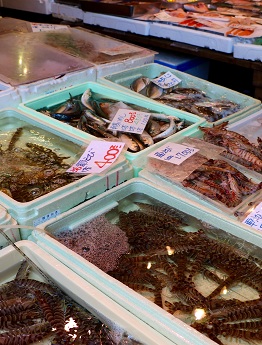 Tsukiji Fish Market : Le Plus Grand Marché de Poisson au Monde
