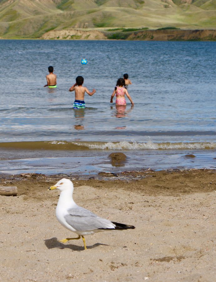 Premier Camping à Saskatchewan : Beach & Fishing