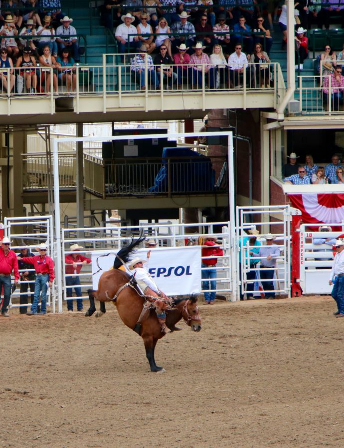 Calgary Stampede – The Rodeo Show