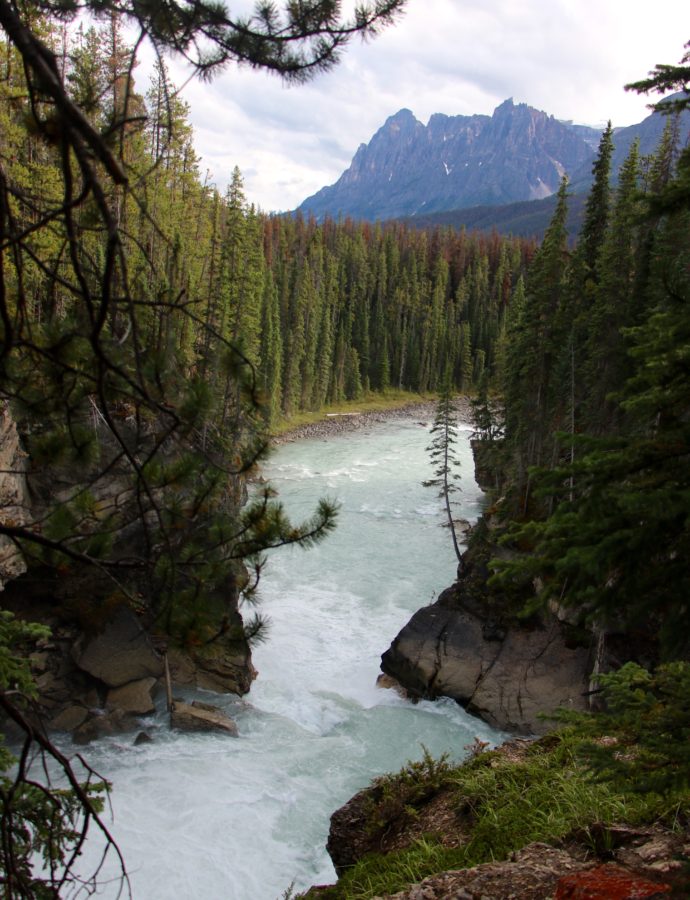 Lower Sunwapta Falls